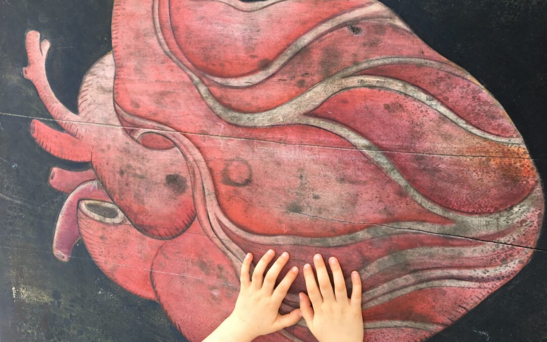 Every Response of Your Body Holds Wisdom